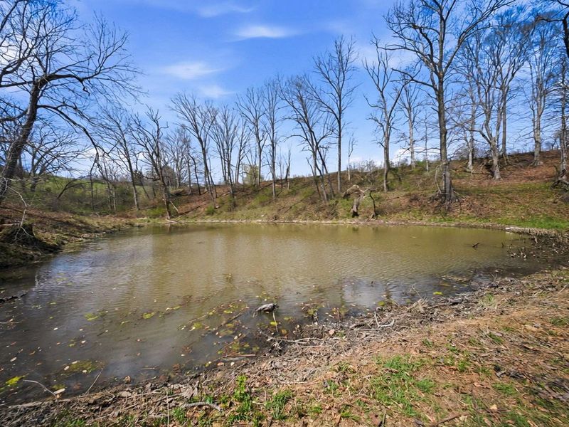 5123 State Route 13 SE, Corning, OH 43730 Photo 84