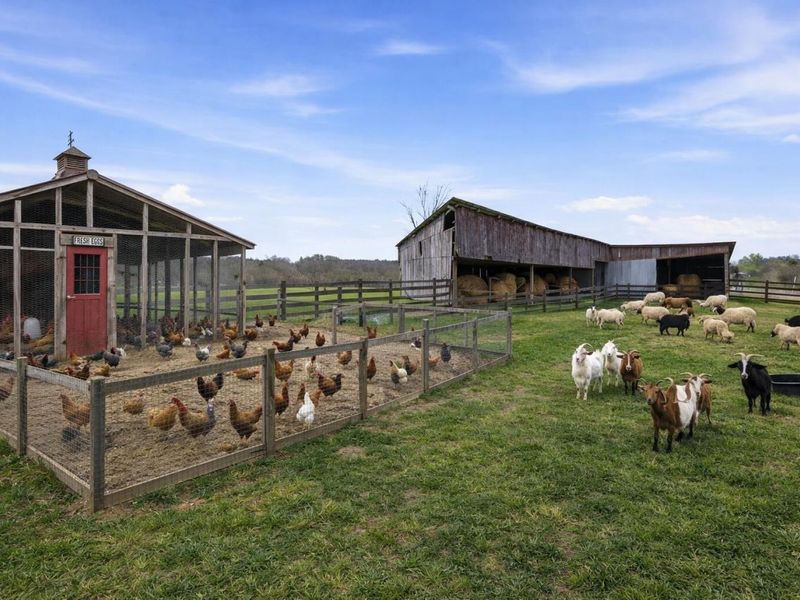 5123 State Route 13 SE, Corning, OH 43730 Photo 90