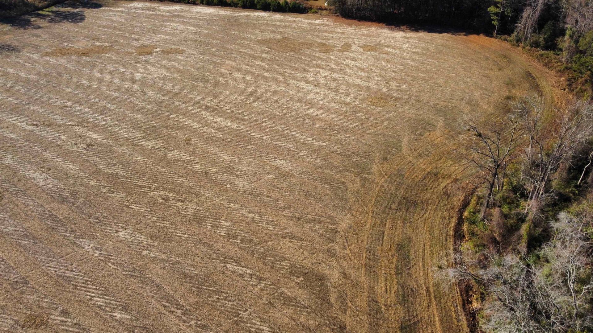 Tbd Black Creek Rd. Photo 5