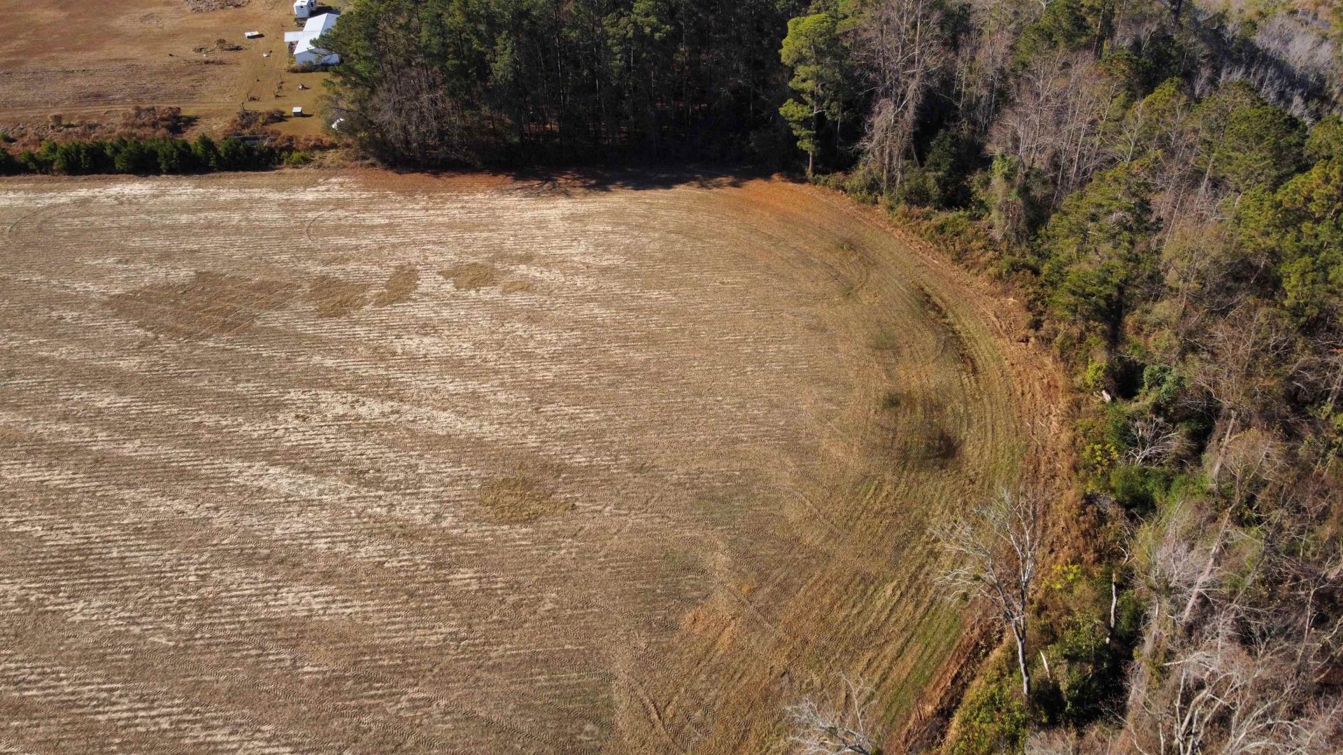 Tbd Black Creek Rd. Photo 6