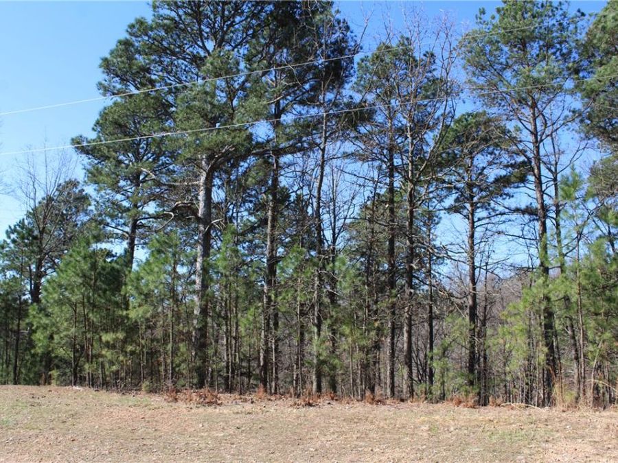 Property Image 19