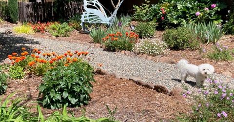 6200 Mahala Dr, Carmichael, CA 95608 Photo