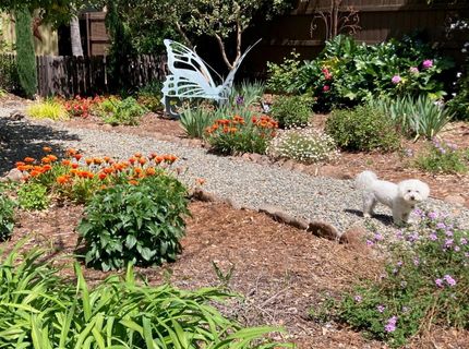 6200 Mahala Dr, Carmichael, CA 95608 Photo