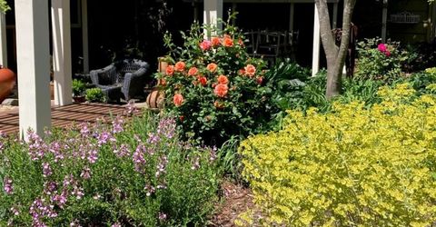 6200 Mahala Dr, Carmichael, CA 95608 Photo