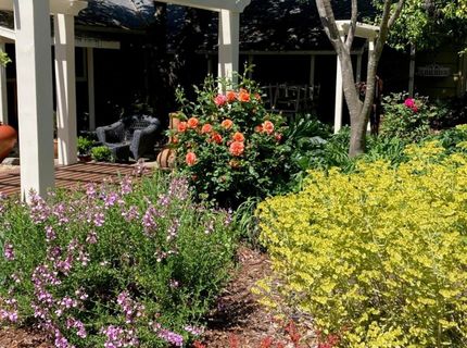 6200 Mahala Dr, Carmichael, CA 95608 Photo