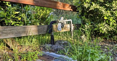 6845 Barton Rd, Granite Bay, CA 95746 Photo