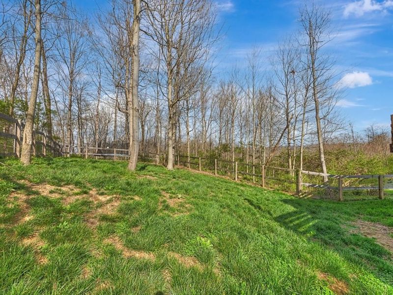 6968 Chapel Lane, Crosby Twp, OH 45030 Photo 51