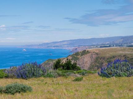 14720 S Highway 1, Manchester, CA 95459 Photo