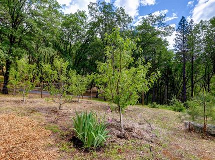 16200 Excelsior Ditch Camp Rd, Nevada City, CA 95959 Photo
