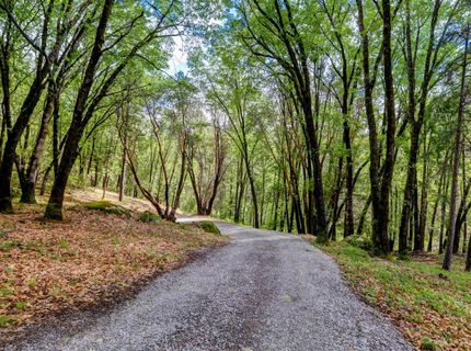 16200 Excelsior Ditch Camp Rd, Nevada City, CA 95959 Photo