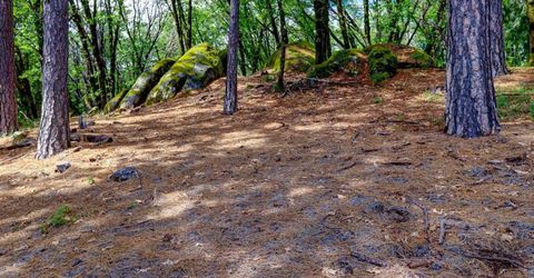 16200 Excelsior Ditch Camp Rd, Nevada City, CA 95959 Photo