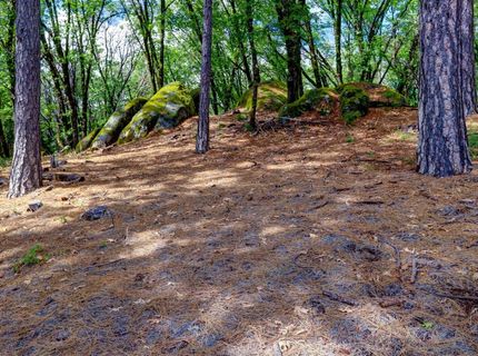 16200 Excelsior Ditch Camp Rd, Nevada City, CA 95959 Photo