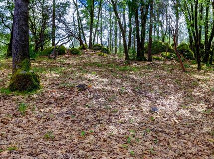 16200 Excelsior Ditch Camp Rd, Nevada City, CA 95959 Photo