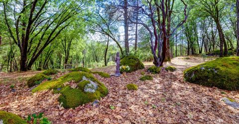 16200 Excelsior Ditch Camp Rd, Nevada City, CA 95959 Photo
