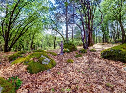 16200 Excelsior Ditch Camp Rd, Nevada City, CA 95959 Photo