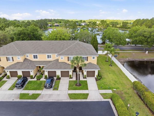 20484 NEEDLETREE DRIVE , TAMPA, FL 33647