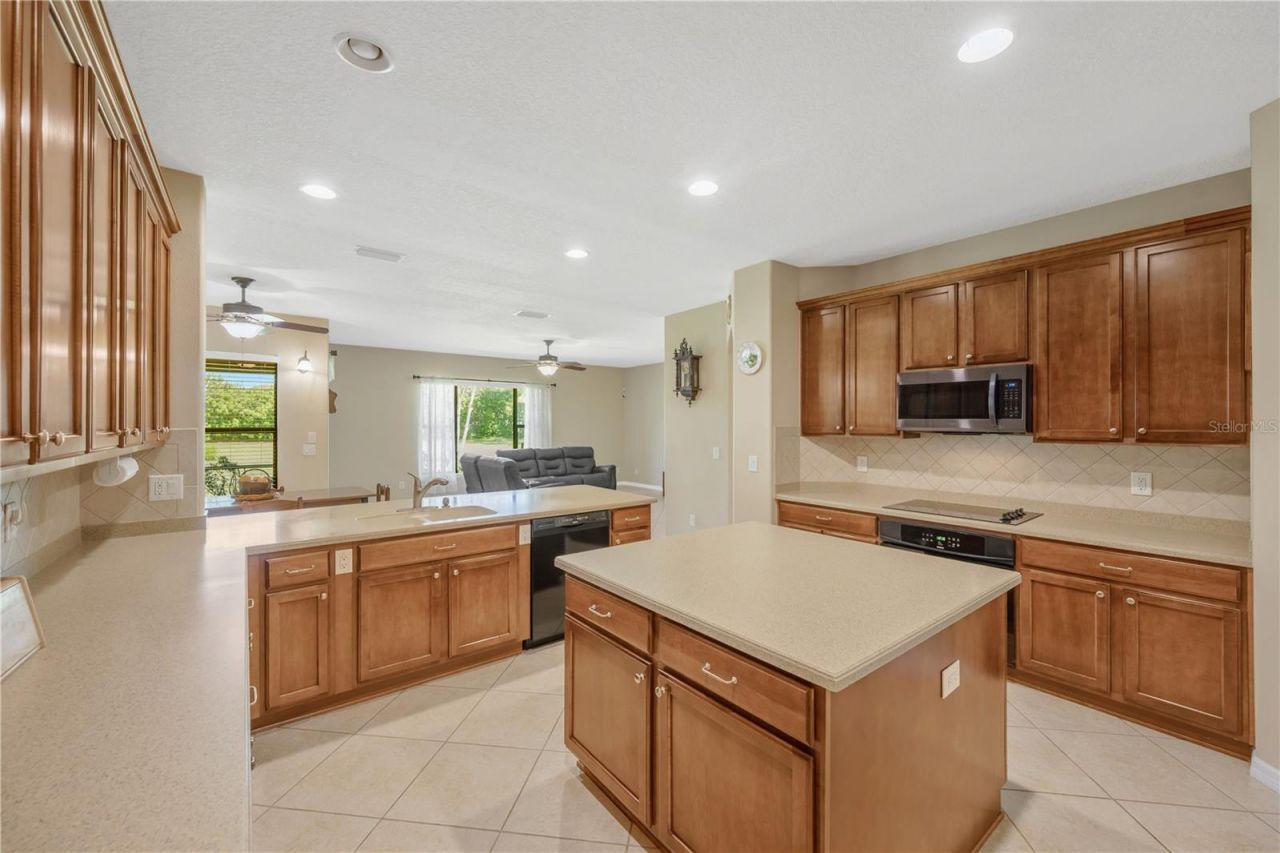 9313 Lisbon Street, Seffner, FL 33584 Photo