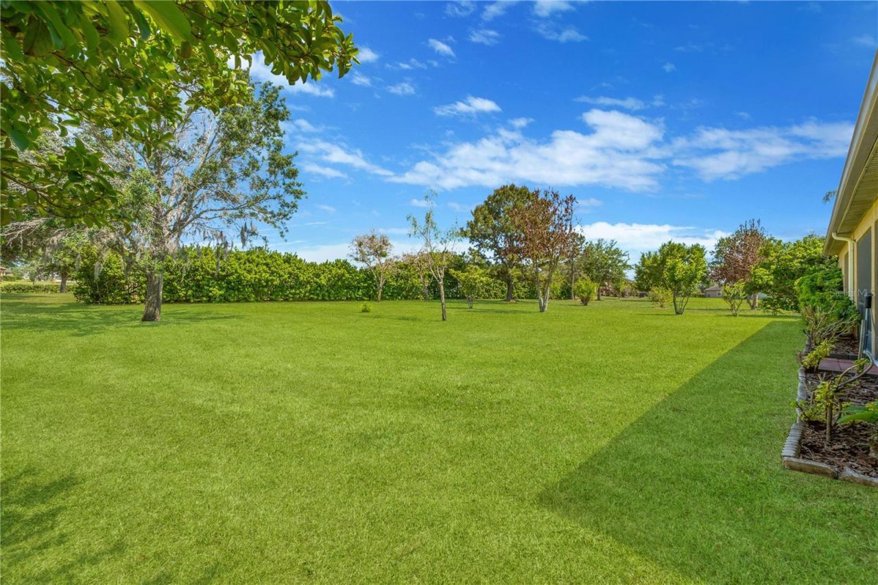 9313 Lisbon Street, Seffner, FL 33584 Photo