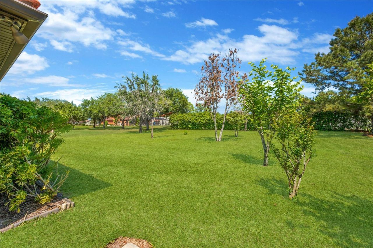 9313 Lisbon Street, Seffner, FL 33584 Photo