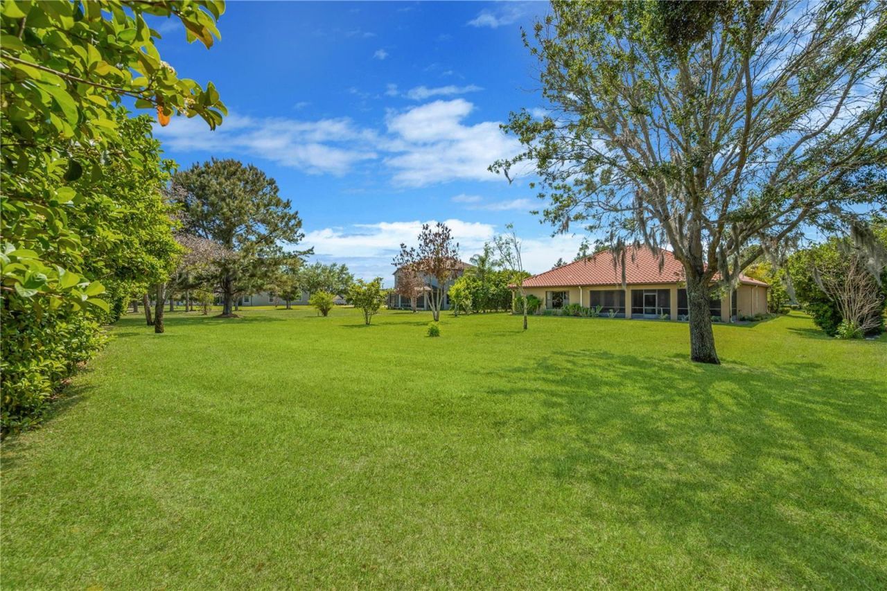 9313 Lisbon Street, Seffner, FL 33584 Photo