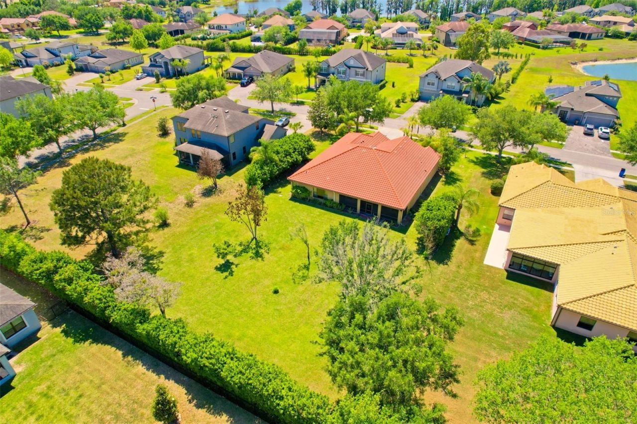9313 Lisbon Street, Seffner, FL 33584 Photo