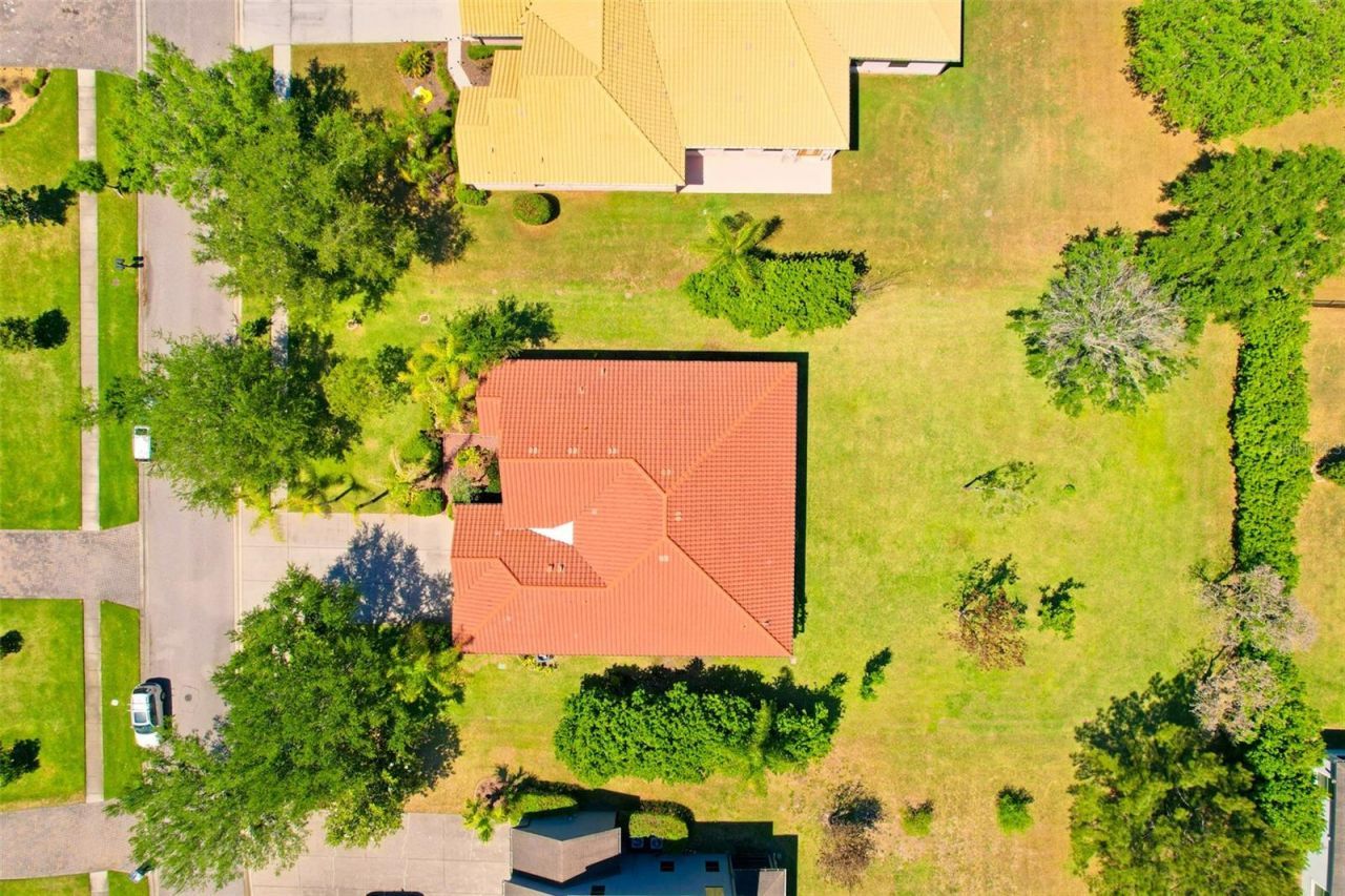 9313 Lisbon Street, Seffner, FL 33584 Photo
