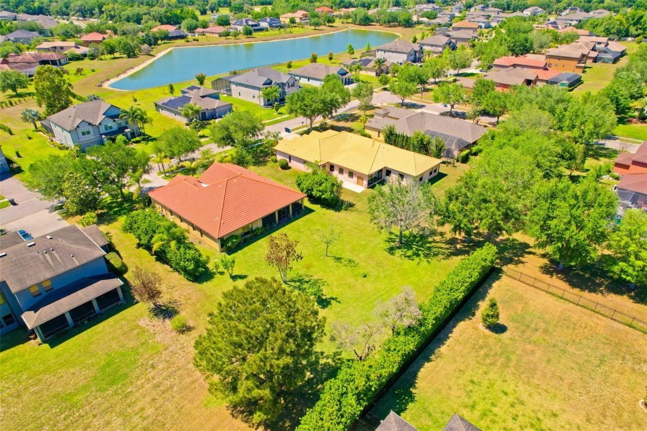 9313 Lisbon Street, Seffner, FL 33584 Photo