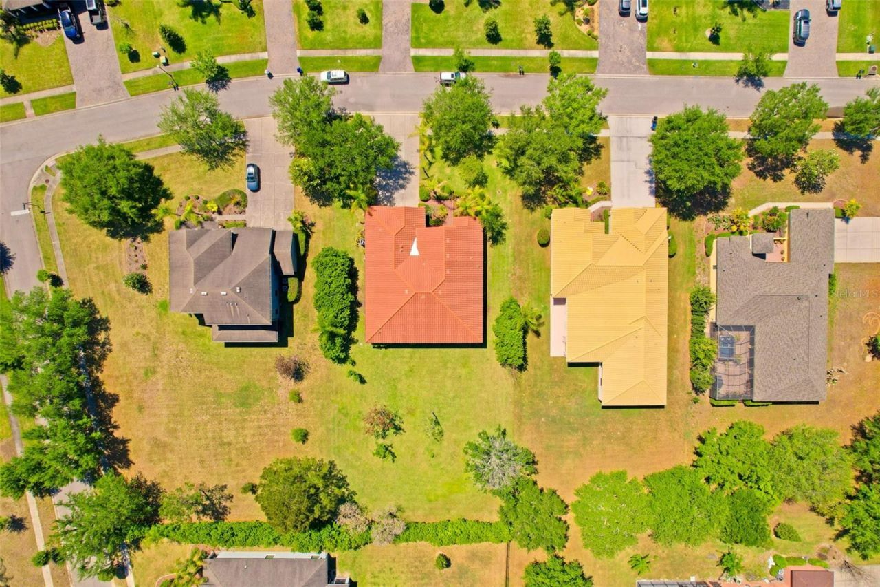 9313 Lisbon Street, Seffner, FL 33584 Photo