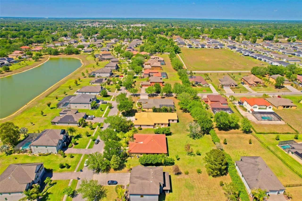 9313 Lisbon Street, Seffner, FL 33584 Photo
