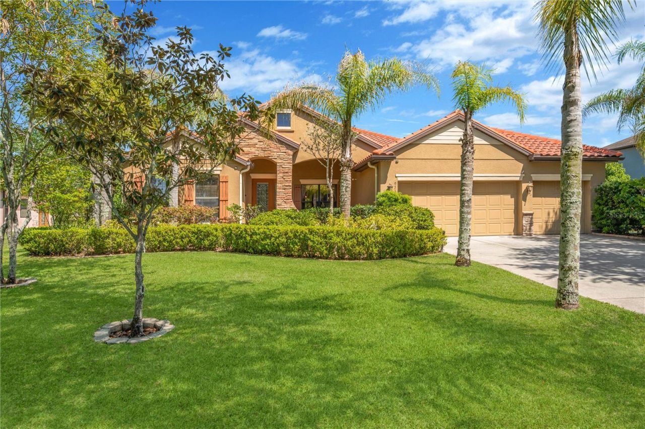 9313 Lisbon Street, Seffner, FL 33584 Photo