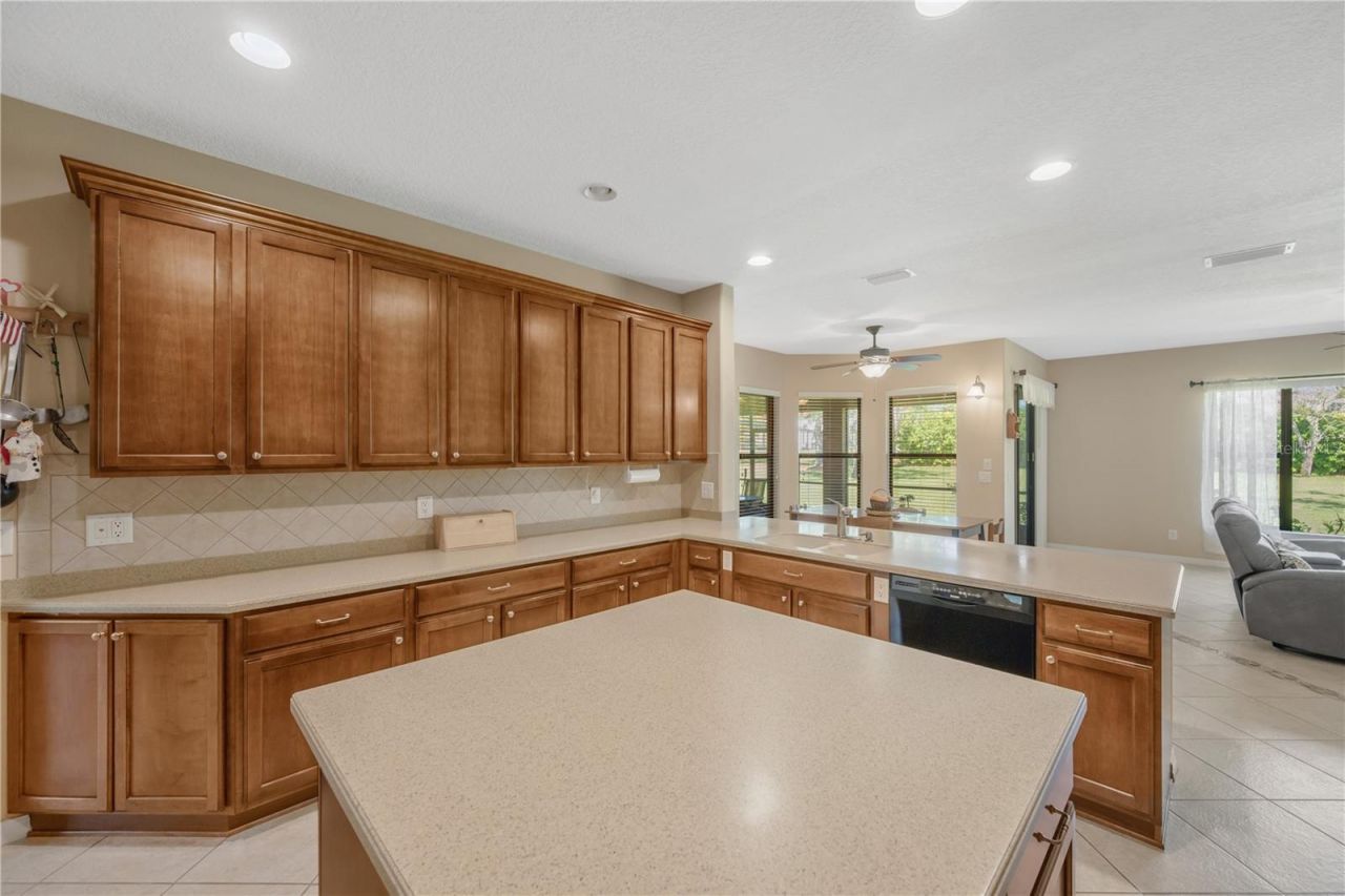 9313 Lisbon Street, Seffner, FL 33584 Photo