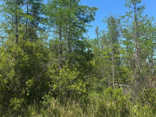 ATLAS DRIVE , ST CLOUD, FL 34773