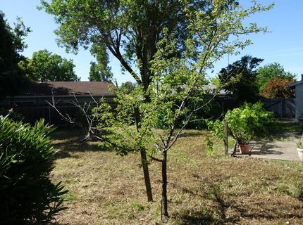 9325 Henley Way, Sacramento, CA 95826 Photo