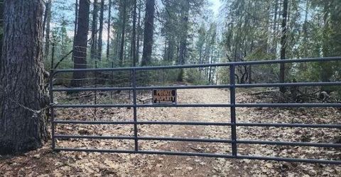 Grey Eagle, Garden Valley, CA 95633 Photo