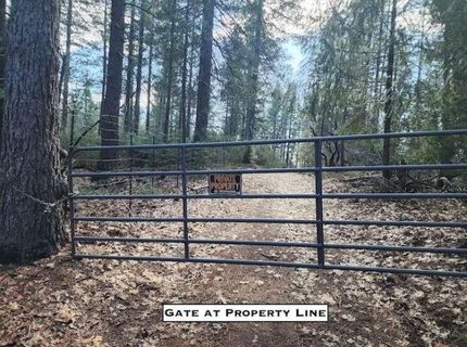 Grey Eagle, Garden Valley, CA 95633 Photo