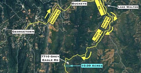 Grey Eagle, Garden Valley, CA 95633 Photo