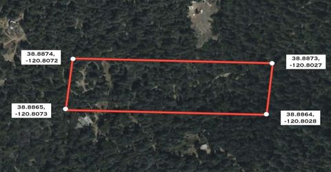 Grey Eagle, Garden Valley, CA 95633 Photo