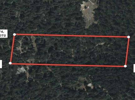 Grey Eagle, Garden Valley, CA 95633 Photo