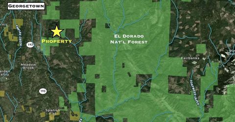 Grey Eagle, Garden Valley, CA 95633 Photo