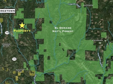 Grey Eagle, Garden Valley, CA 95633 Photo