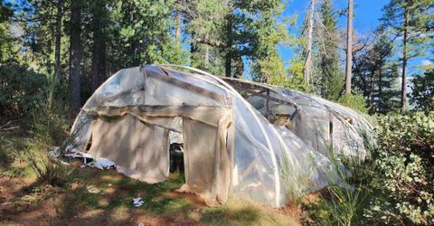 Grey Eagle, Garden Valley, CA 95633 Photo