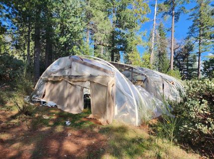 Grey Eagle, Garden Valley, CA 95633 Photo