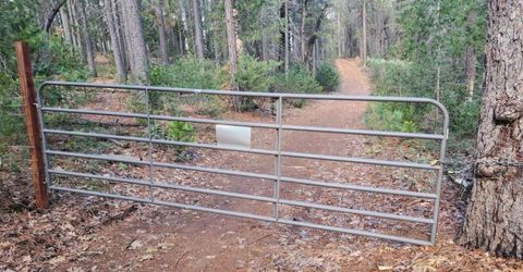 Grey Eagle, Garden Valley, CA 95633 Photo