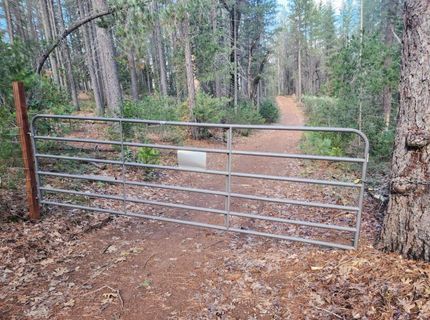 Grey Eagle, Garden Valley, CA 95633 Photo