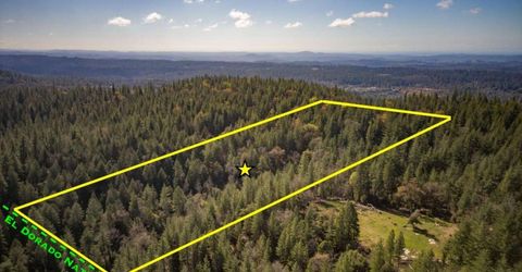 Grey Eagle, Garden Valley, CA 95633 Photo