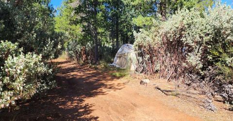 Grey Eagle, Garden Valley, CA 95633 Photo
