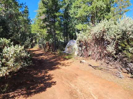Grey Eagle, Garden Valley, CA 95633 Photo