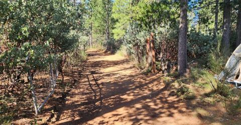 Grey Eagle, Garden Valley, CA 95633 Photo