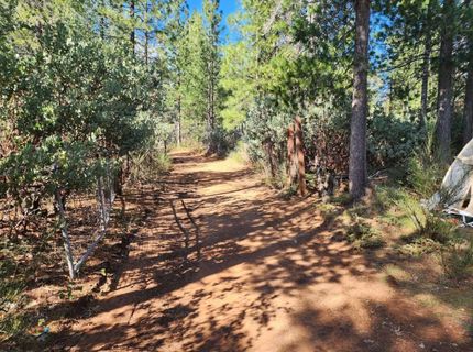 Grey Eagle, Garden Valley, CA 95633 Photo