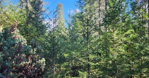 Grey Eagle, Garden Valley, CA 95633 Photo